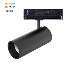 Standard Track light